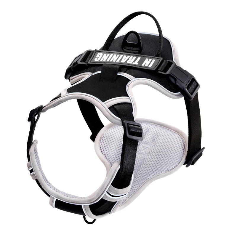 Harnais chien anti-traction
