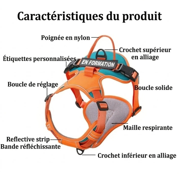 Harnais chien anti-traction