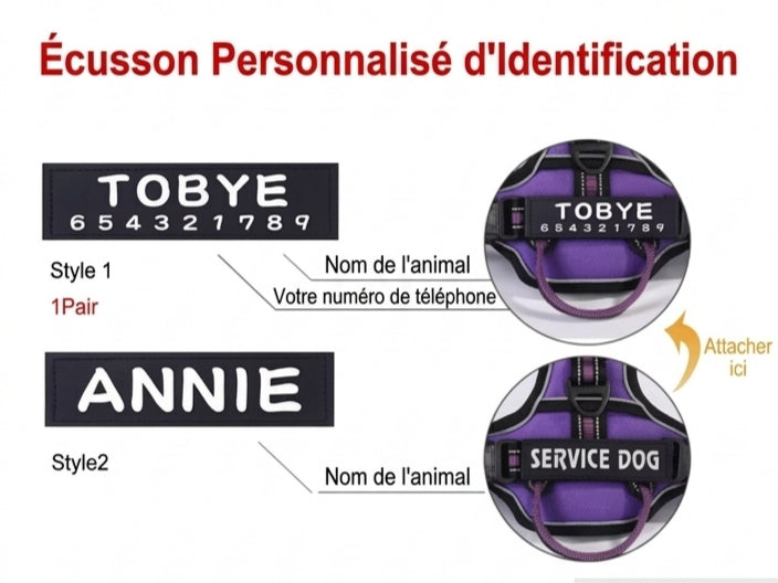 Harnais chien anti-traction