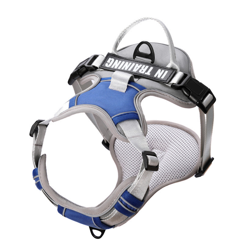 Harnais chien anti-traction