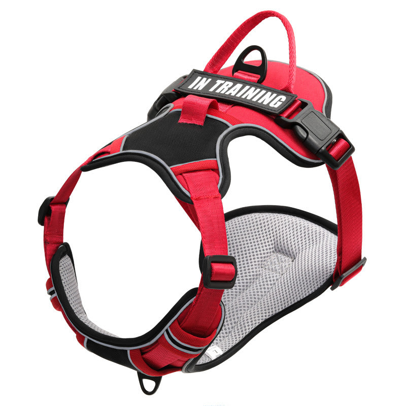 Harnais chien anti-traction