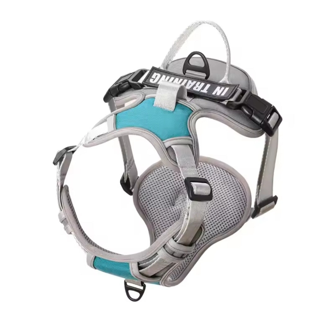 Harnais chien anti-traction