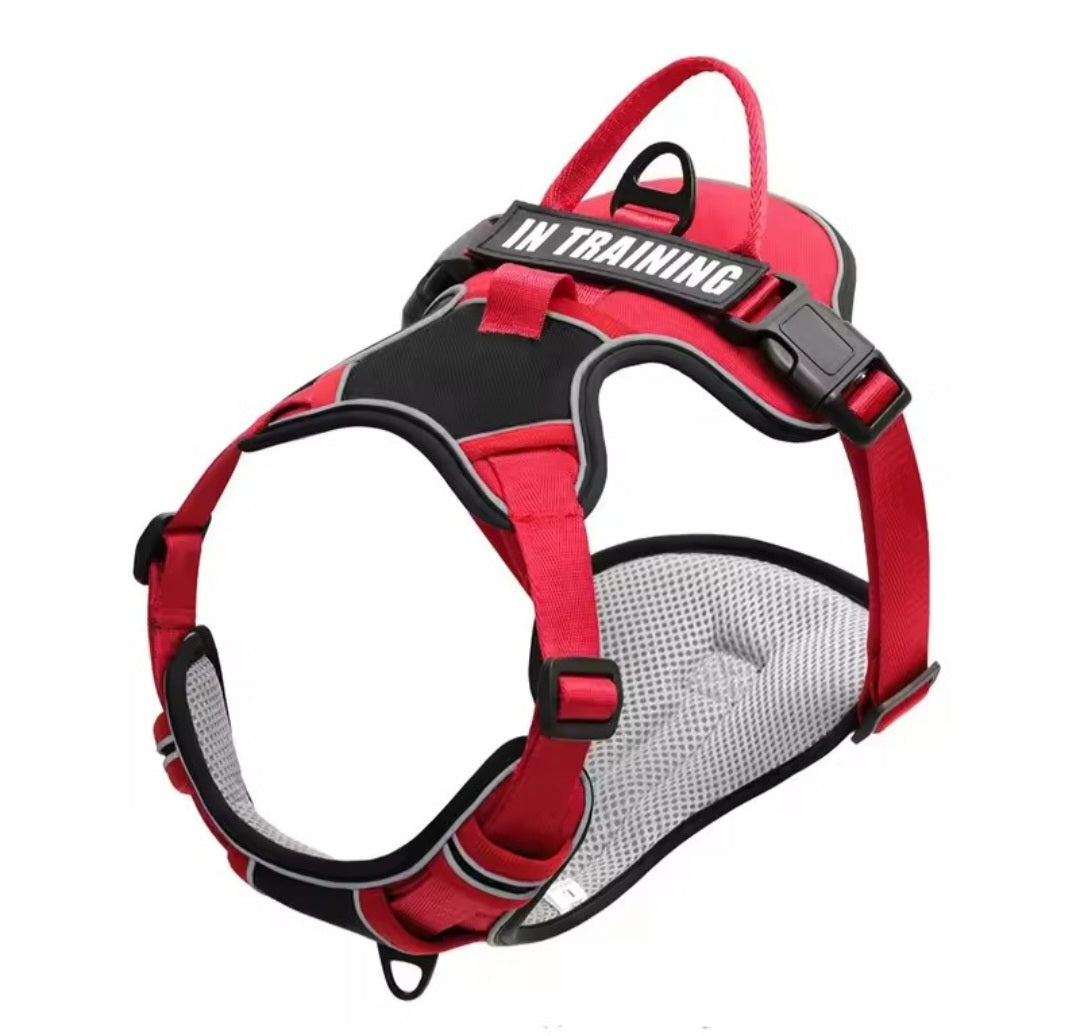Harnais chien anti-traction